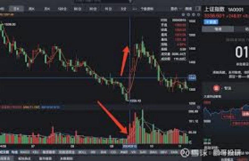 控盘迹象成长性的重要性：未来市场走势的预测与应对