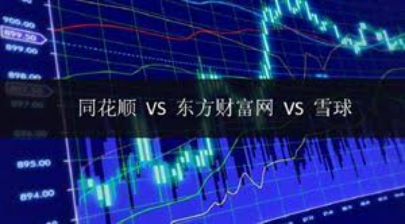 风口行业的未来：投资者在接下来的一年中应关注的市场趋势