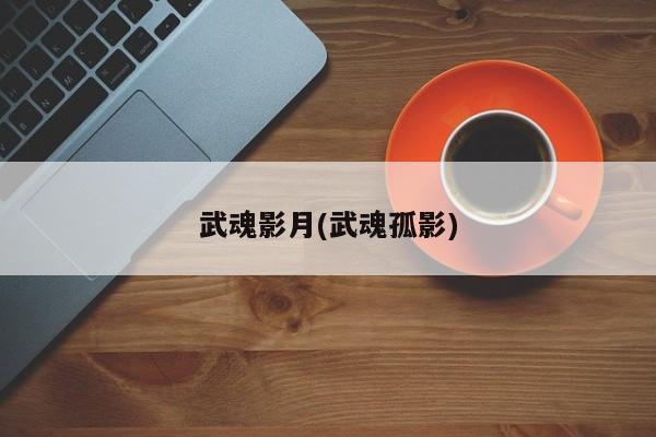 武魂影月(武魂孤影)