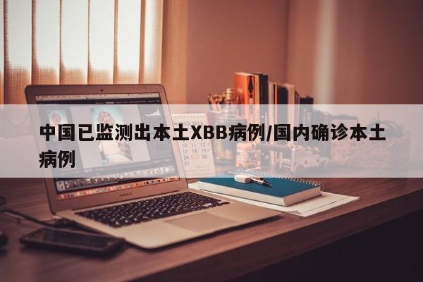中国已监测出本土XBB病例/国内确诊本土病例
